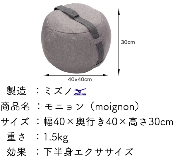  製造  ：ミズノ
商品名 ：モニョン（moignon）
サイズ ：幅40×奥行き40×高さ30cm
  重さ  ：1.5kg
  効果  ：下半身エクササイズ